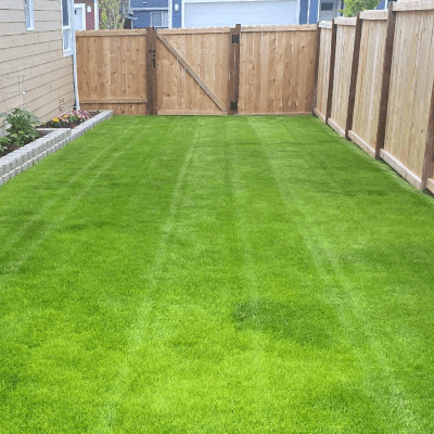 Lawn Care